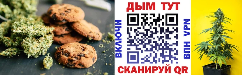 как найти наркотики  Луховицы  Canna-Cookies конопля 
