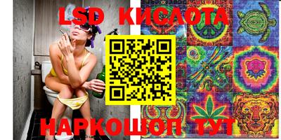 mdpv Белореченск